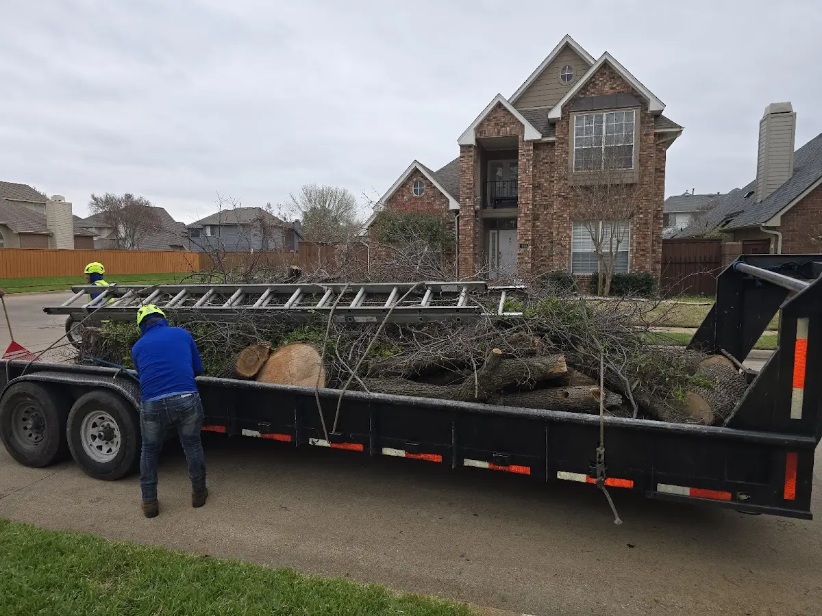 Expert Tree Fertilization with proper safety equipment in Warrington